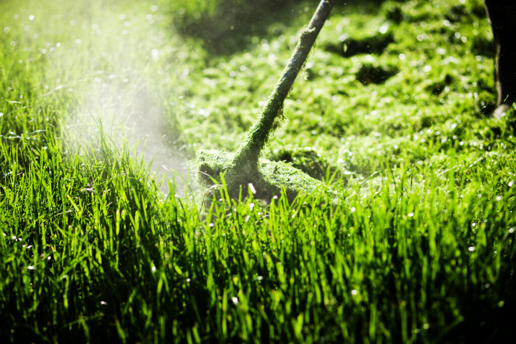 Lawn mowing service Abilene TX weed eating a lawn